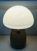 Rechargeable Small Size Mushroom LED Desk Lamp / Popular LED Night Light for Bedroom /LED Table Lamp with USB Charging