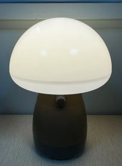 Rechargeable Small Size Mushroom LED Desk Lamp / Popular LED Night Light for Bedroom /LED Table Lamp with USB Charging