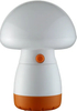 Rechargeable Small Size Mushroom LED Desk Lamp / Popular LED Night Light for Bedroom /LED Table Lamp with USB Charging